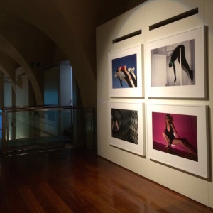 Guy Bourdin at Somerset House