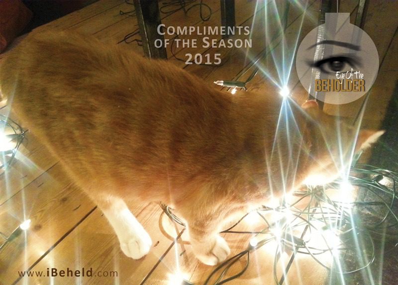 eye of the beholder