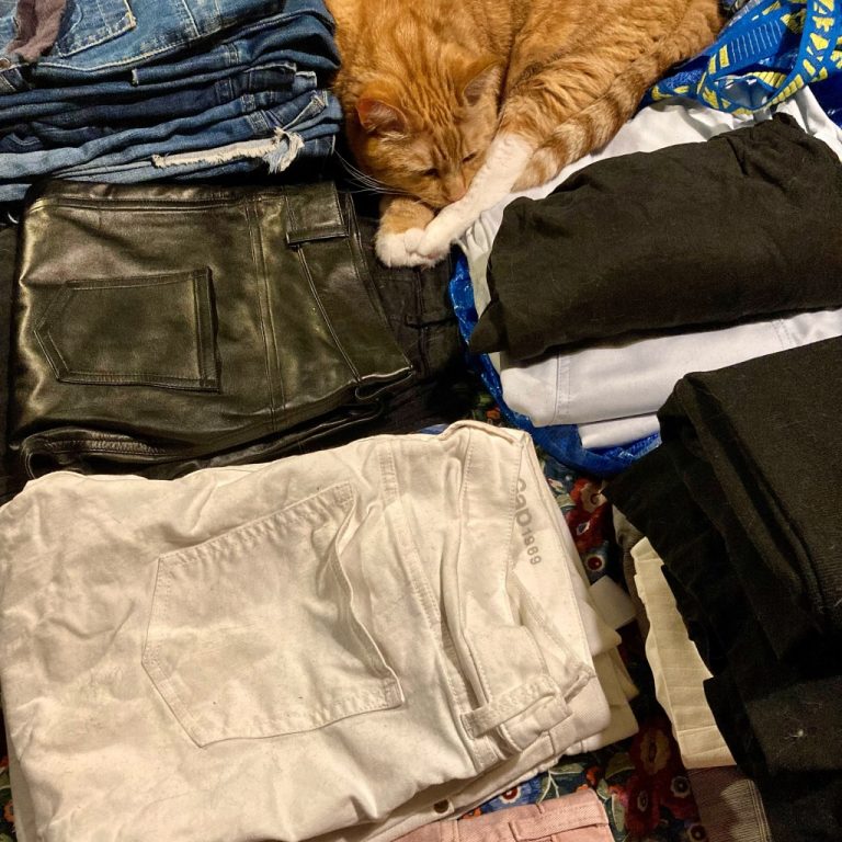 Piles of jeans and a ginger cat