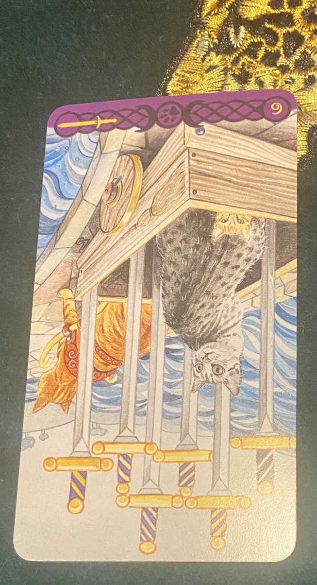 Tarot of Pagan Cats Six of Swords Reversed a ginger cat pulls a wagon in which are sitting a scared tabby cat and a kitten
