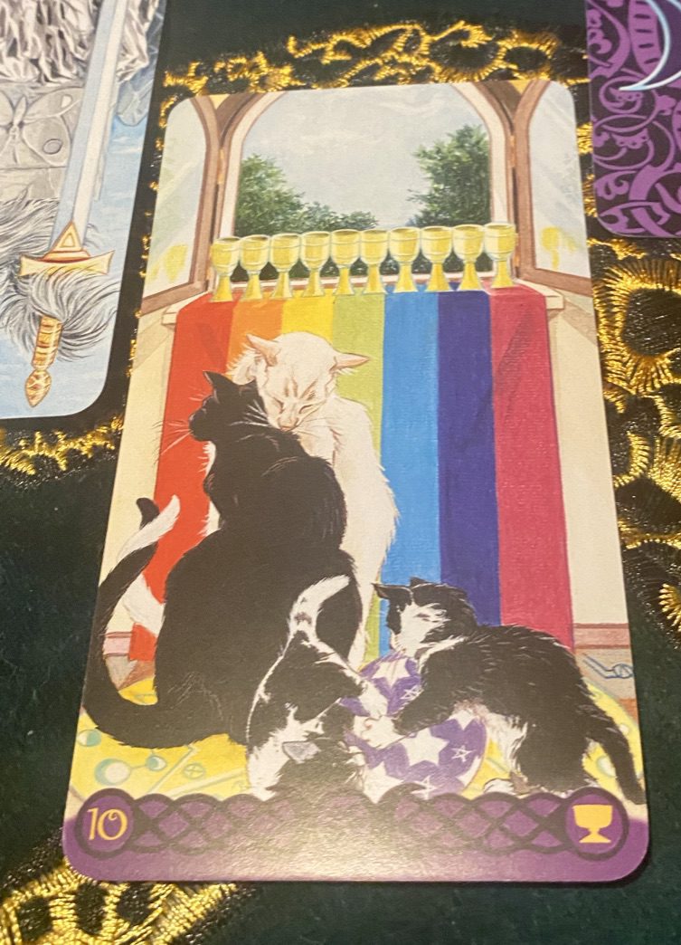 Ten of Cups from Tarot of Pagan cats. Black and white cat nuzzle and twine tails in front of an open window. Ten chalices stand on the windowsill which is decorated with a rainbow cloth. two kittens play in the foreground.