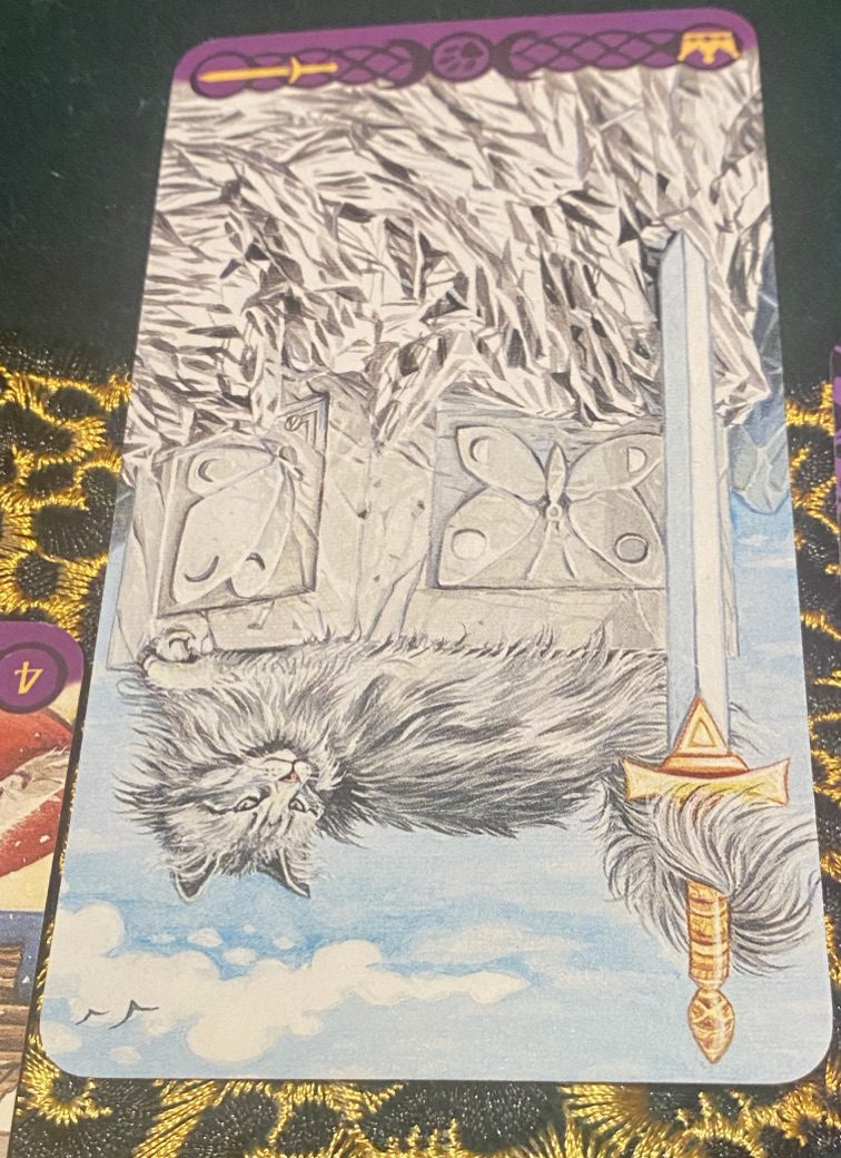 Fluffy grey cat with cold appraising stare lies on a stone block that appears to be capping sheets of jagged ice. His tail curls around the hilt of a sword. King of Swords Reversed from Tarot of Pagan Cats
