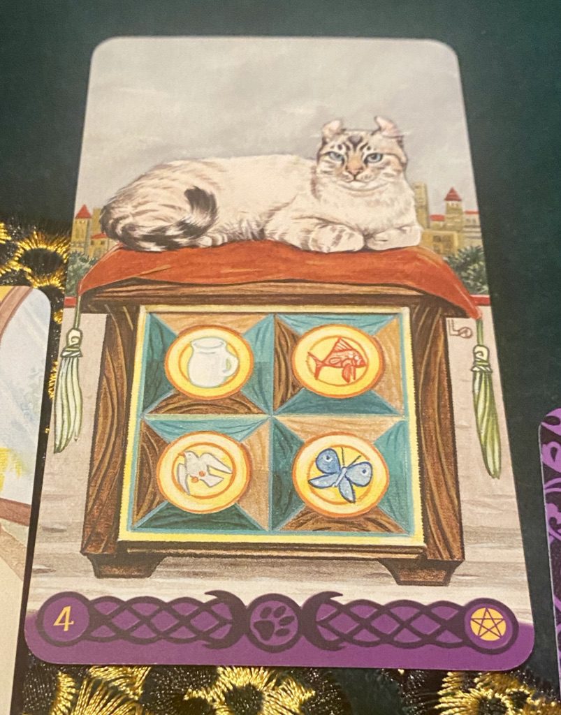 Four of Cups card in Tarot of Pagan Cats shows a chonky boi with a twitching tail, tucked-in front paws, and small swivelled ears giving you an appraising look. He's lying on a chest quartered with material and emotional symbols: milk, fish, bird, butterfly