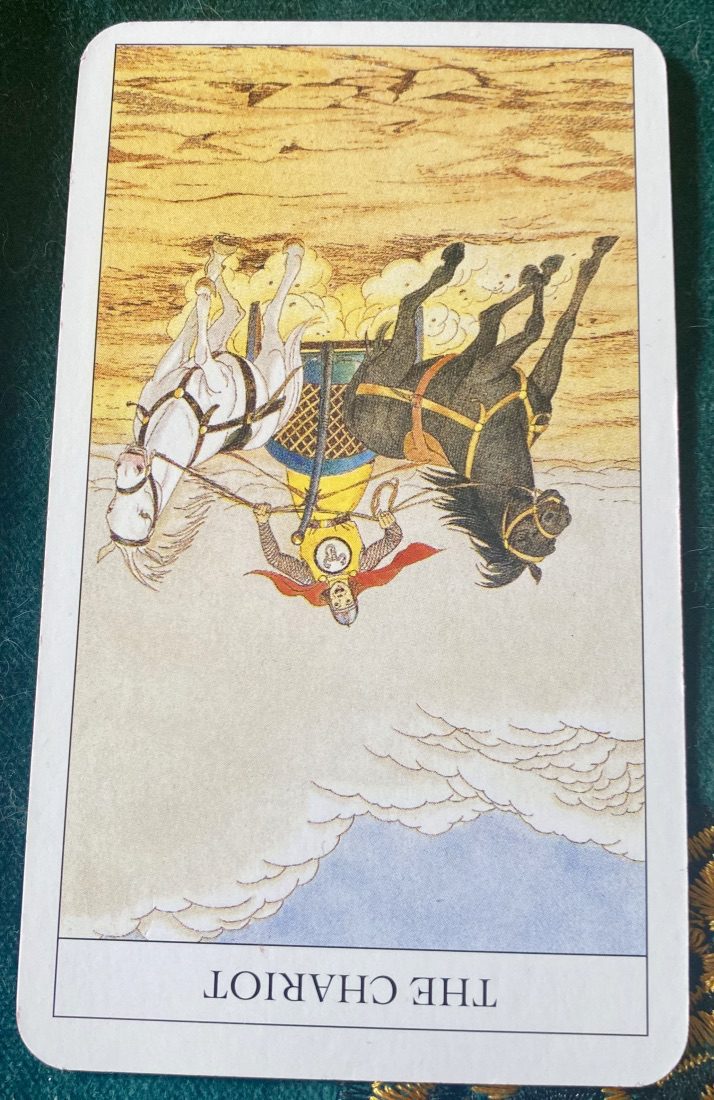 THE CHARIOT from the New Mythic Tarot white horse and black horse in disagreement about direction pull chariot. Charioteer appears blithely unconcerned