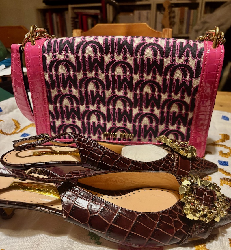 Fancy little handbag and dainty little shoes