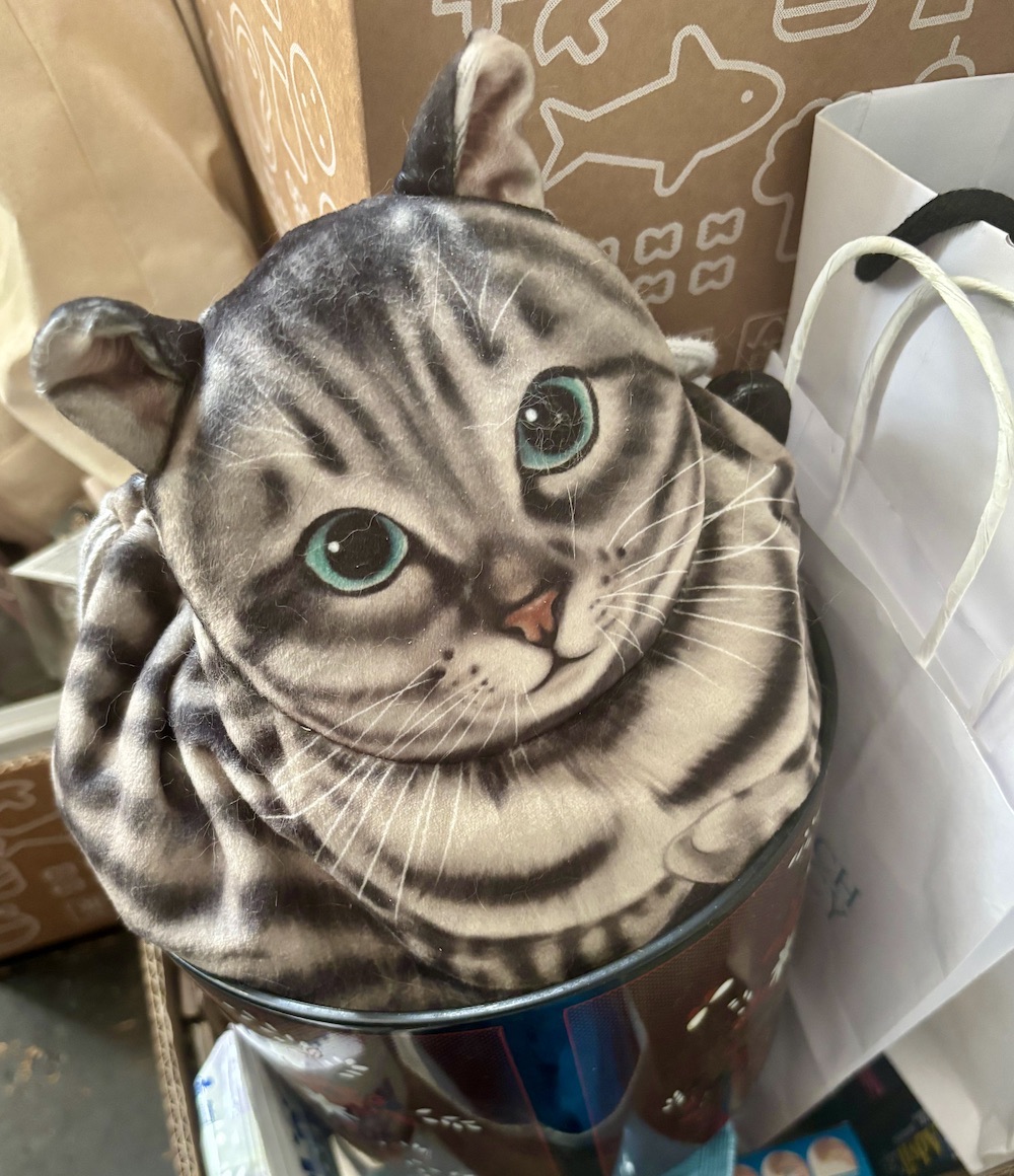 A Drawstring Bag That Looks Like A Cat